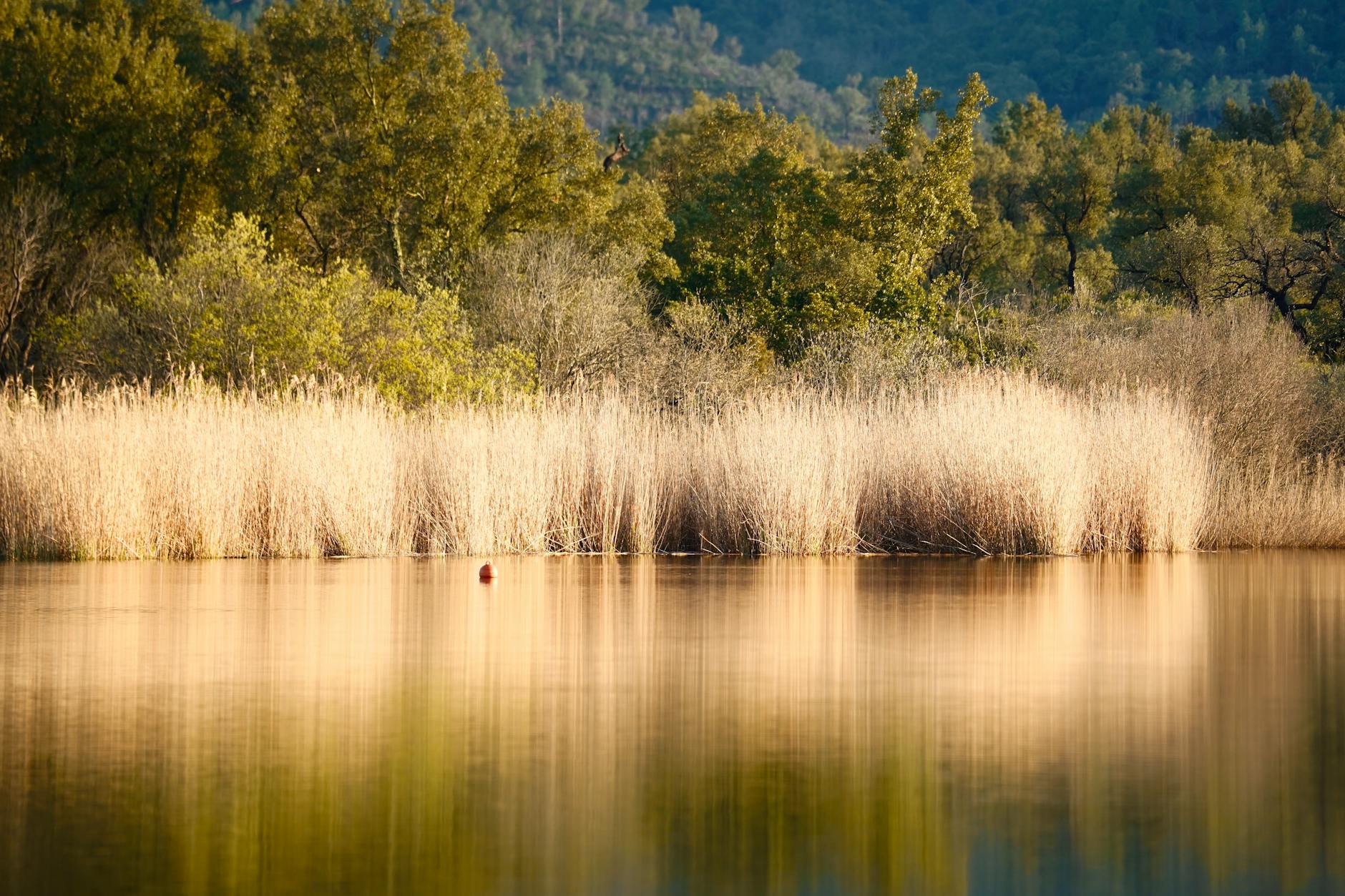 Person sitting peacefully outdoors, representing mental clarity and peace of mind