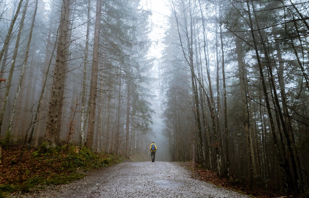 Trauma-Focused Therapy in Tunbridge Wells